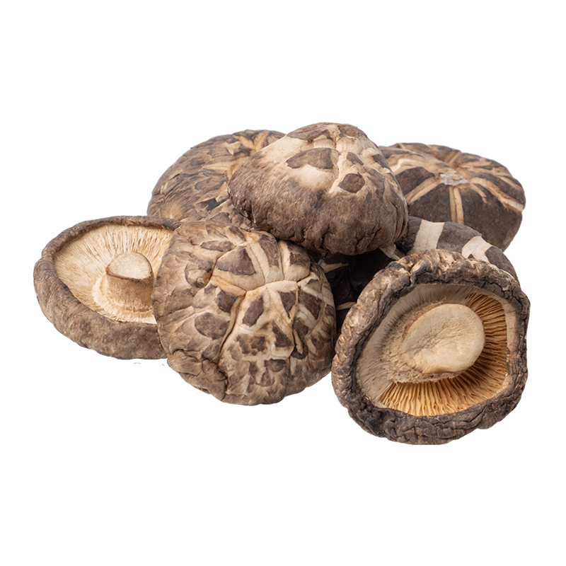Life Extension Europe: Shiitake mushrooms 